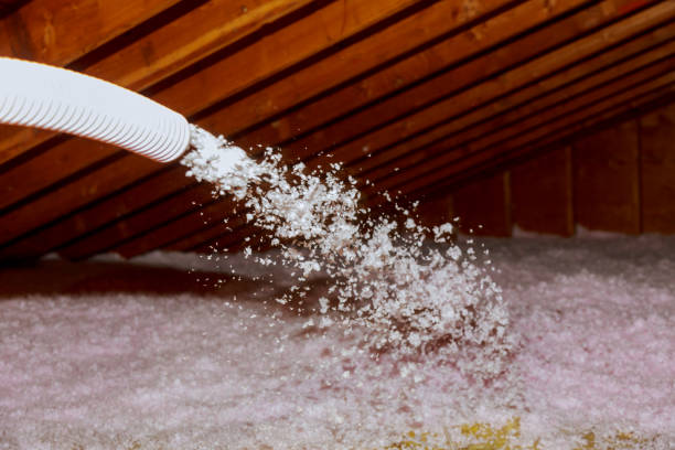 Best Geographic-Specific Insulation Services in Shell Rock, IA