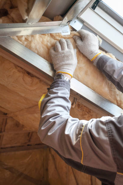 Best Spray Foam Insulation in Shell Rock, IA