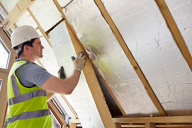 Best Specialized Insulation Services in Shell Rock, IA