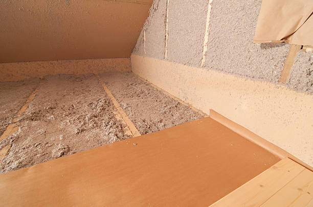 Best Insulation Maintenance and Repair in Shell Rock, IA